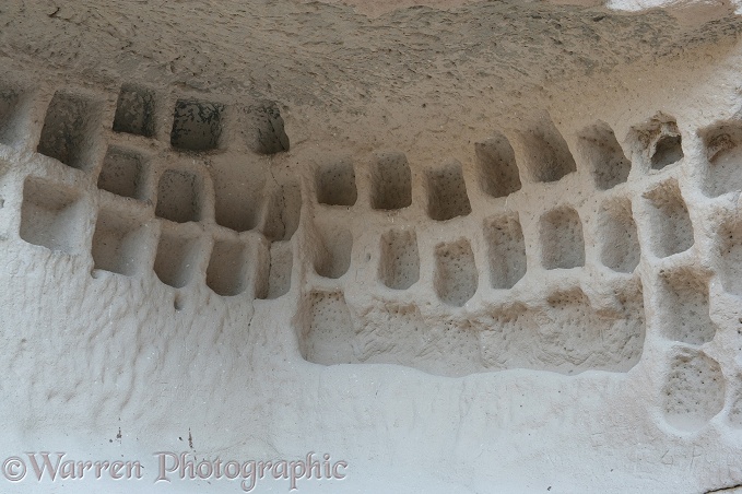 Inside of troglodyte dwelling with compartments for pigeons to live in.  Kapadokia, Turkey