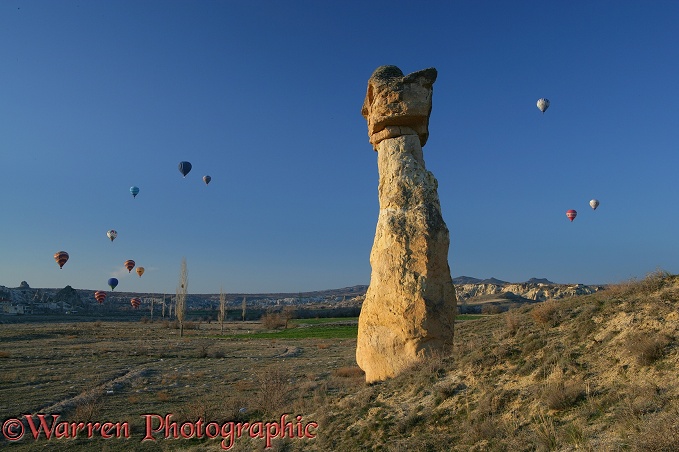 Fairy chimney and hot air balloons.  Kapadokia, Turkey