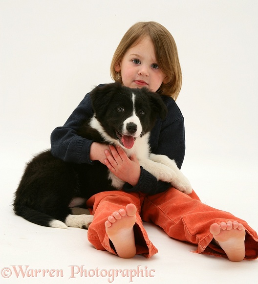 Katie (4) with her black-and-white Border Collie pup Pepper, white background