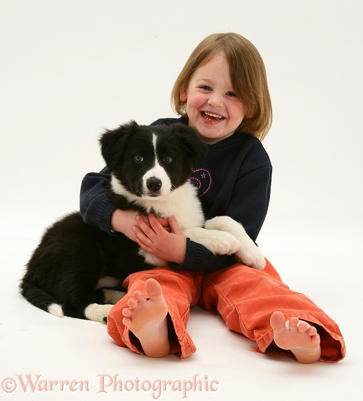 Katie (4) with her black-and-white Border Collie pup Pepper, white background