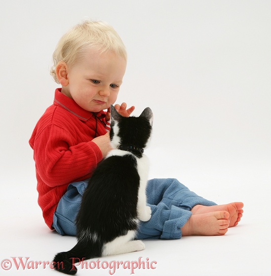 Toddler with Black-and-white kitten, white background