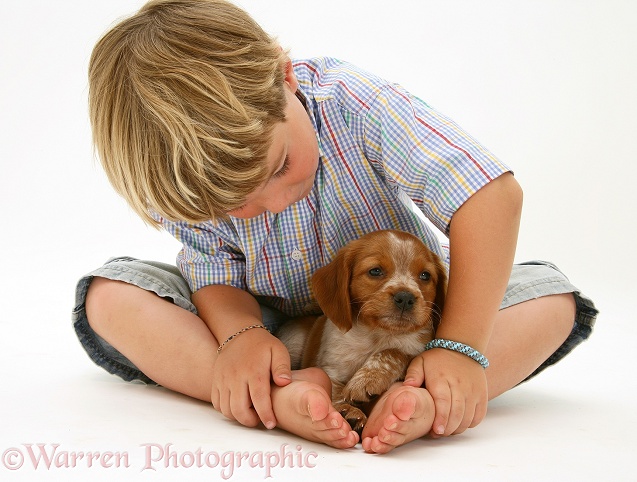 Dominic (4) with his Brittany Spaniel pup, white background