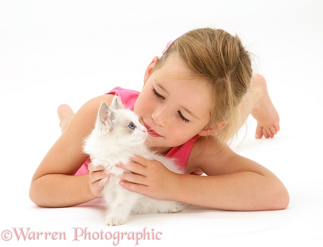 Madison with a kitten, white background