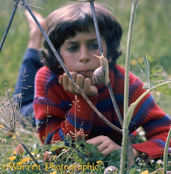 Mark, aged 10, watching a snail crawl up an umbellifer stem