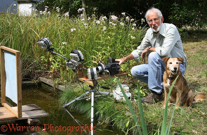 Photographer Kim Taylor, assisted by his dog, Bess, setting up a fully automated system to photograph a dragonfly patrolling over a pond