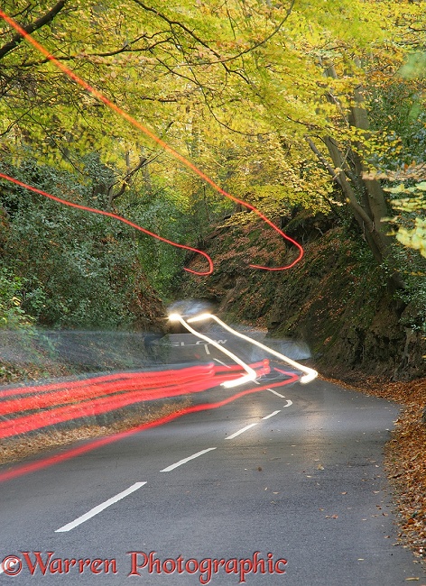 Country lane with autumnal trees and car light trails.  Surrey, England