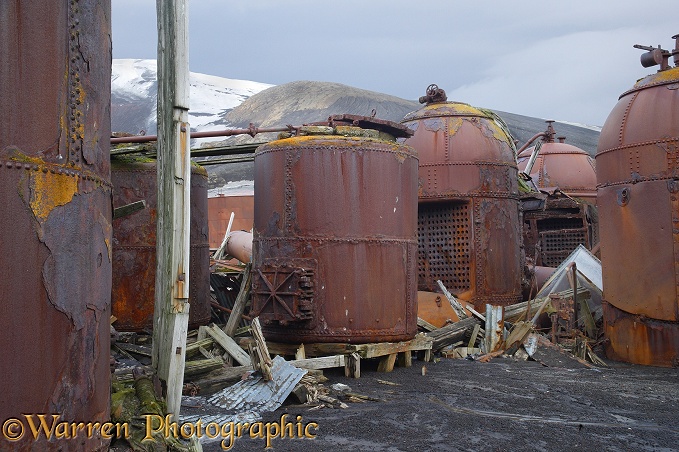 Rusting remains of an old whaling station.  Deception Island, Antarctica