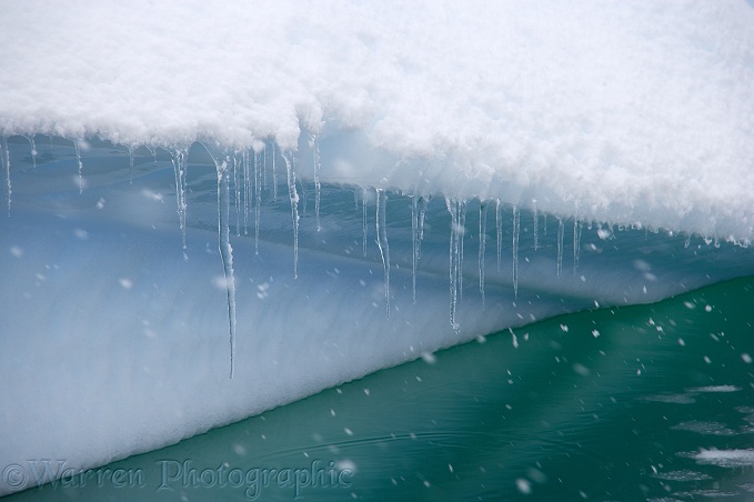 Iceberg with icicles.  Antarctica