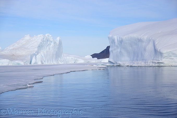 Icebergs.  Antarctica