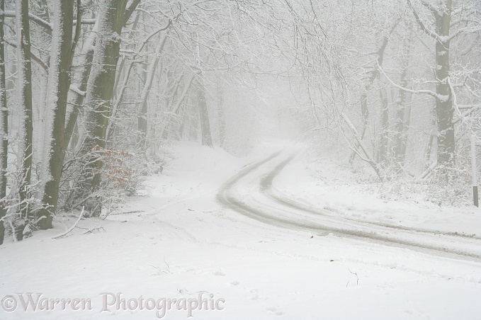 Snowy road with misty atmosphere.  Surrey, England