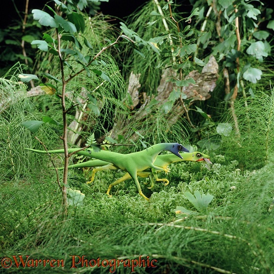 Compsognathus eating a dragonfly