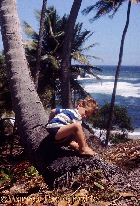 Mark at We Reach, Trinidad east coast, 1968