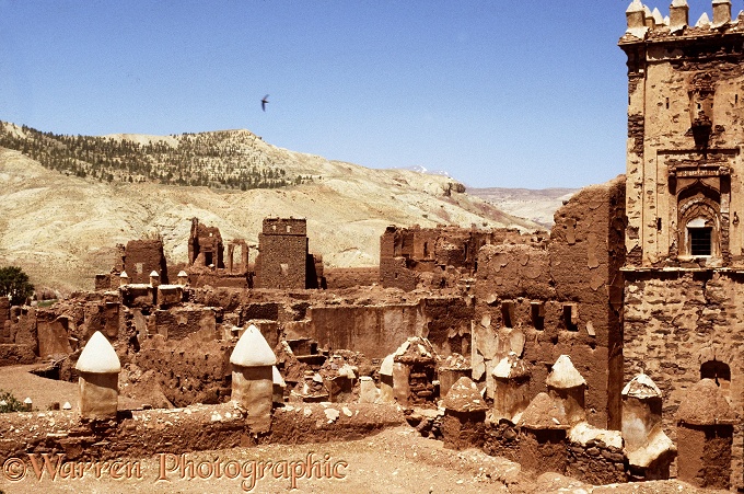 Ruins of the El Glaoui Kasbah, Telouet in the Atlas Mountains, Morocco