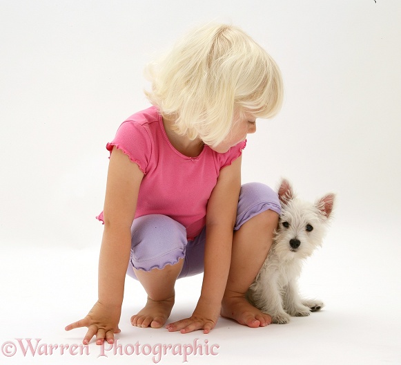 Siena with West Highland White Terrier pup, white background
