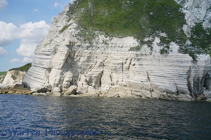 Chalk cliffs on Dorset coast, England