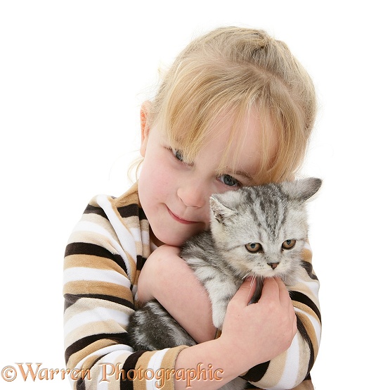 Kacey (5) with silver tabby kitten, white background