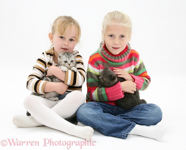 Siena (5) and Kacey (5) with kittens, white background