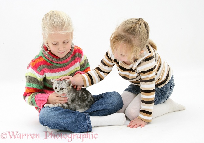 Siena (5) and Kacey (5) with silver tabby kitten, white background