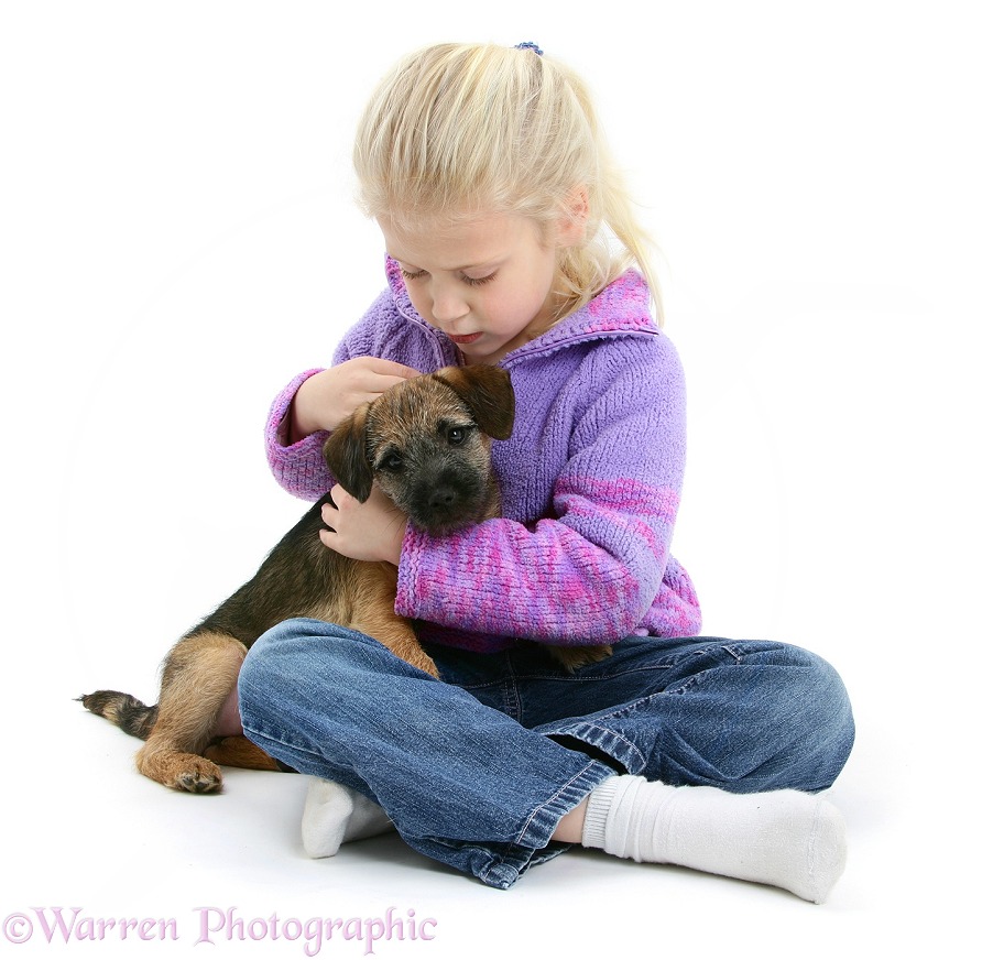 Siena (6) with Border Terrier bitch pup, Kes, white background