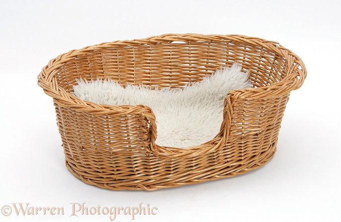 Wicker cat basket, white background