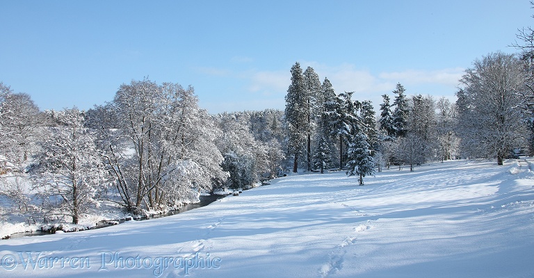 Albury Park snow scene.  Surrey, England