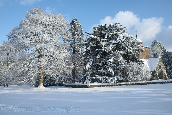 Albury Park snow scene.  Surrey, England