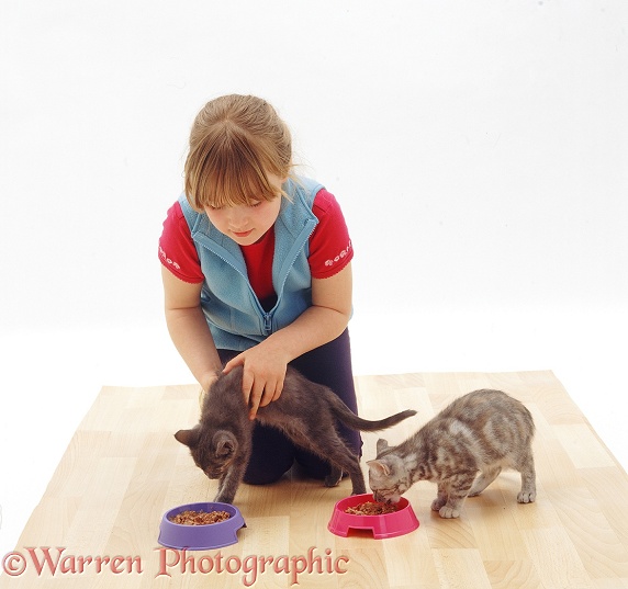 Marcia (7) feeding two kittens: making sure each feeds from its own bowl, white background
