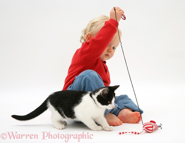 Toddler with black-and-white kitten and catnip mouse, white background