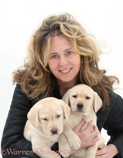 Miriam with two Yellow Labrador pups, 8 weeks old, white background
