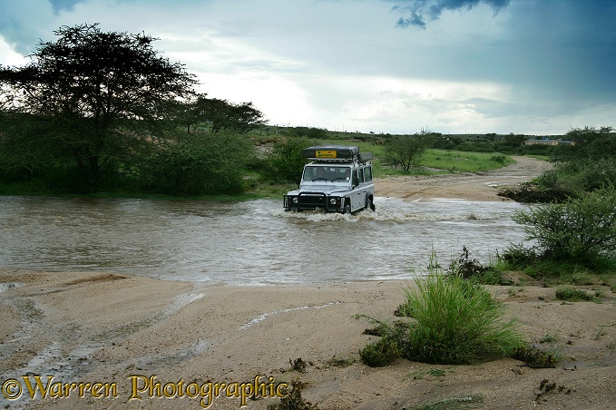 Crossing a swollen river during the rains, northern Namibia