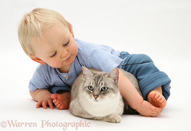 Toddler with Bengal cat, white background