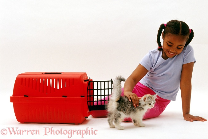 Latasha (8) stroking silver-tortoiseshell kitten before putting it in a cat carrier, white background