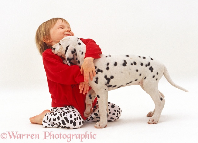 Giselle, 2 years old, hugging Dalmatian puppy, 8 weeks old, white background