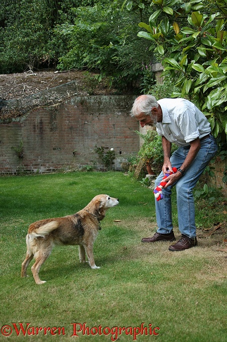 Kim playing with Lakeland Terrier x Border Collie, Bess, 14 years old