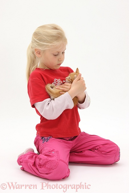 Siena (7) with ginger kitten, Butch, 7 weeks old, white background