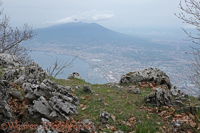 Vesuvius from Mt Faito.  Italy