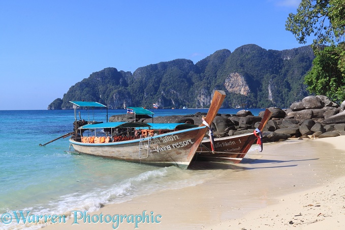 Long-tail boats on a tropical beach.  Koh Phi Phi, Thailand