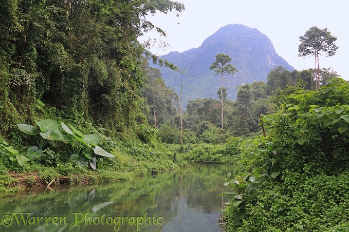 River in tropical forest.  Khao Sok, Thailand