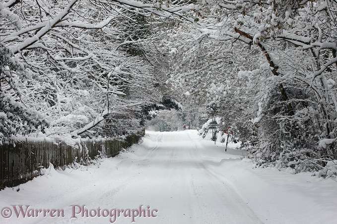 Early Snow on rural road.  Surrey, England