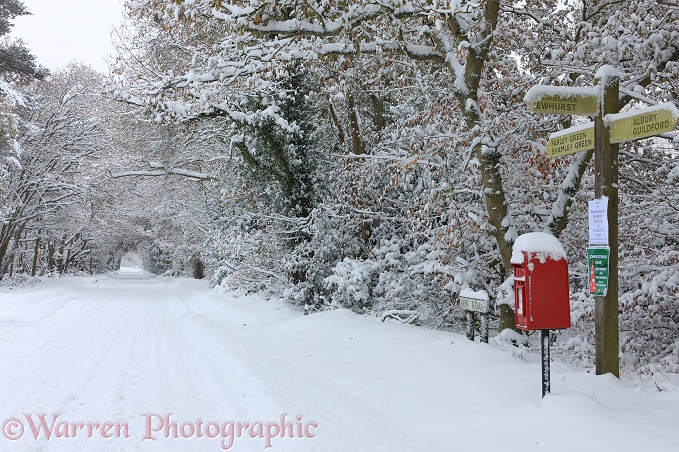 Early Snow on rural road.  Surrey, England