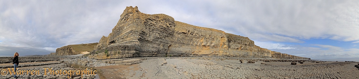 Limestone rocky beach.  Macross, Wales