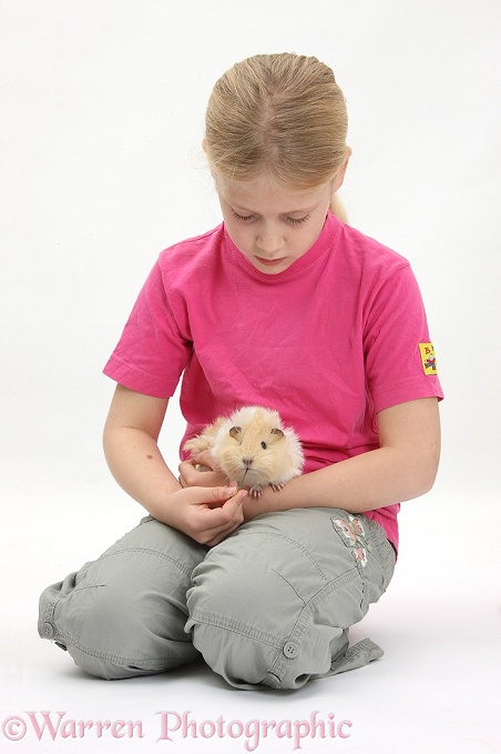 Siena feeding grass to a young Guinea pig, white background
