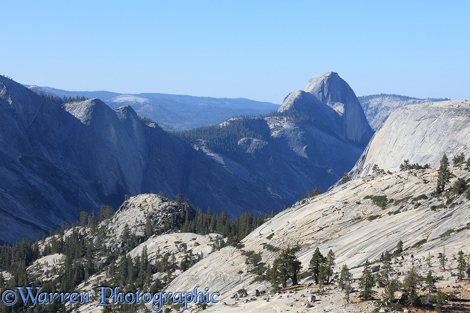 View of Half Dome granite monolith.  Yosemite, California, USA
