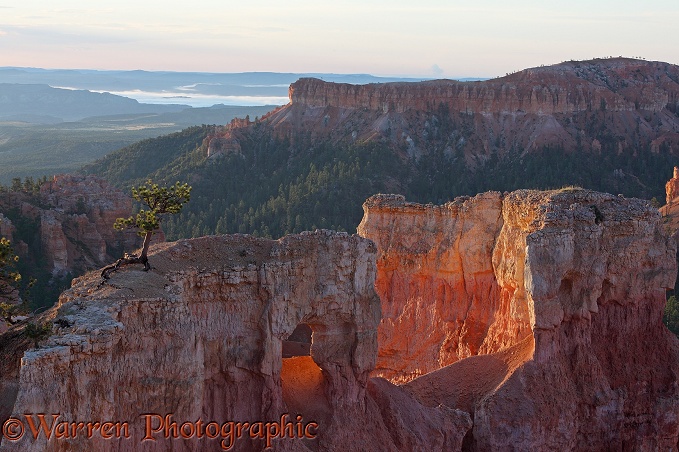 Pinnacles of soft sandstone, known as hoodoos.  Utah, USA