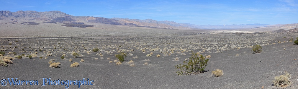 Desert scrub land panorama.  Death Valley, California