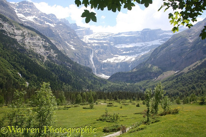 Alpine meadow overlooked by Le Cirque de Gavarnie, French Pyrenees