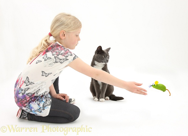 Siena throwing a catnip toy mouse for Burmese-cross cat, Levi, white background