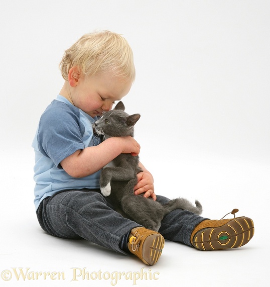 Toddler boy, Leon, playing with blue-and-white Burmese-cross kitten, Levi, white background