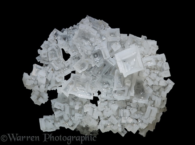 Common salt (Sodium chloride) crystals