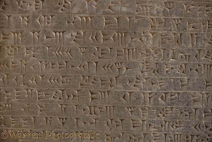 Ancient Assyria: cuneiform script in the library of the king's place at Nimrud, northern Iraq
